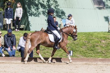 Bild 564 - Pony Akademie Turnier